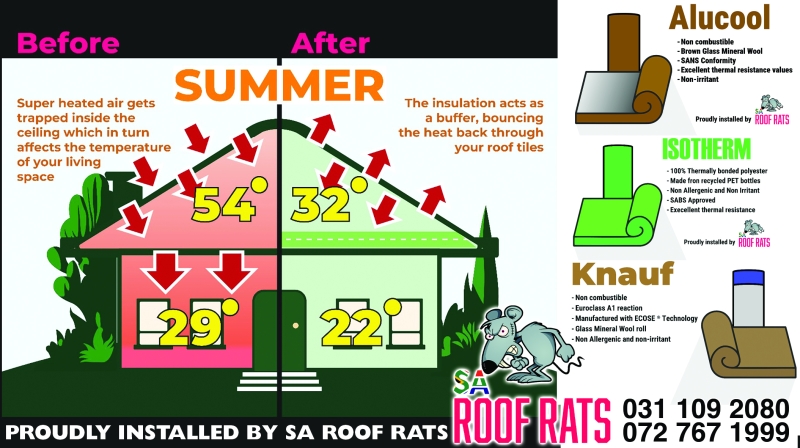 roof rats insular