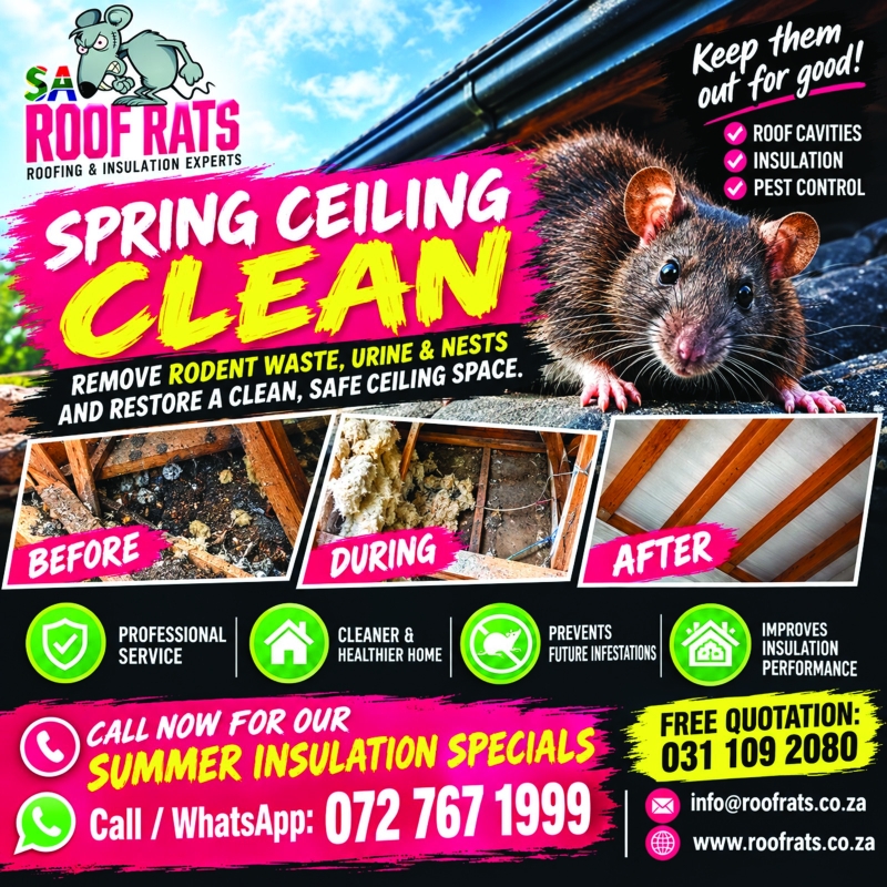 springclean